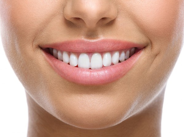 Dental Wellness Exam