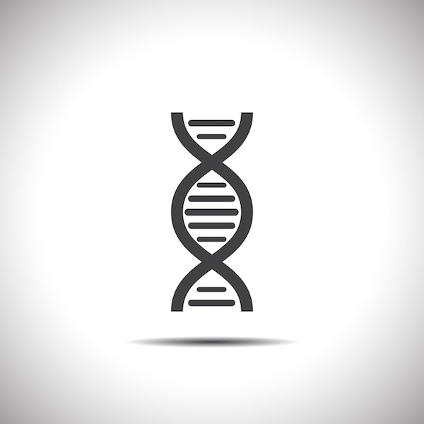 Diet, bacteria, and genome expression