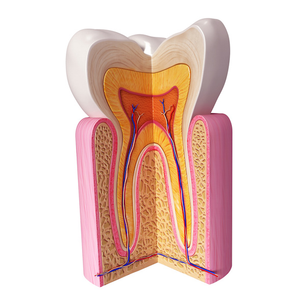 Enamel development and pregnancy complications