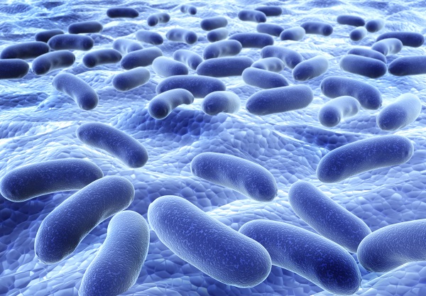 Colony of pathogen bacteria - 3d render