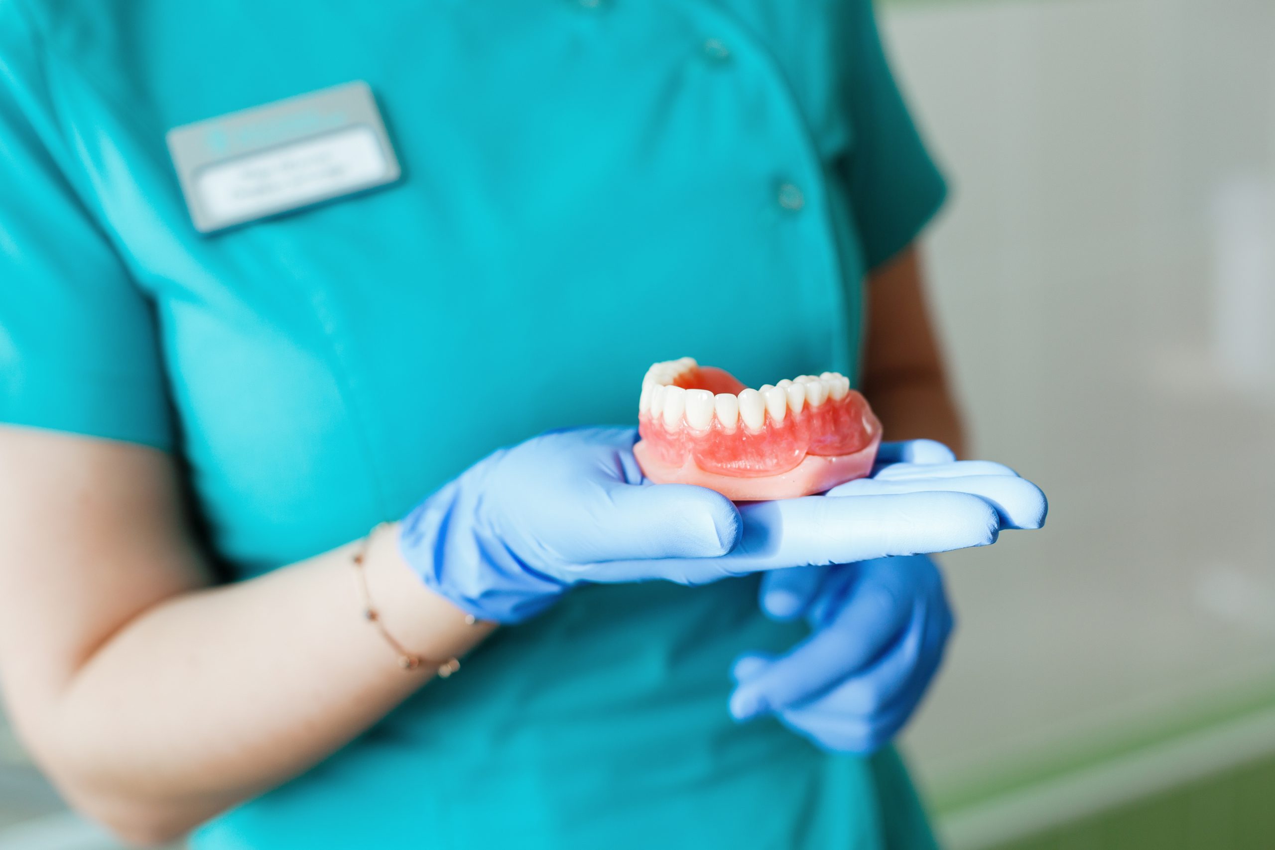 Young female dentist holding a teeth denture